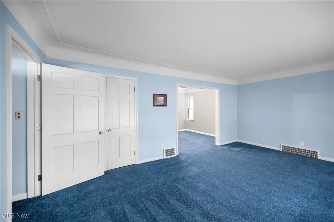 Living Room featuring carpet and a closet