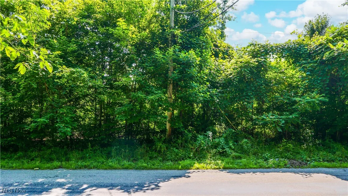12392 V/L Fenstermaker Road, Garrettsville, Ohio,MLS Now Listing ID