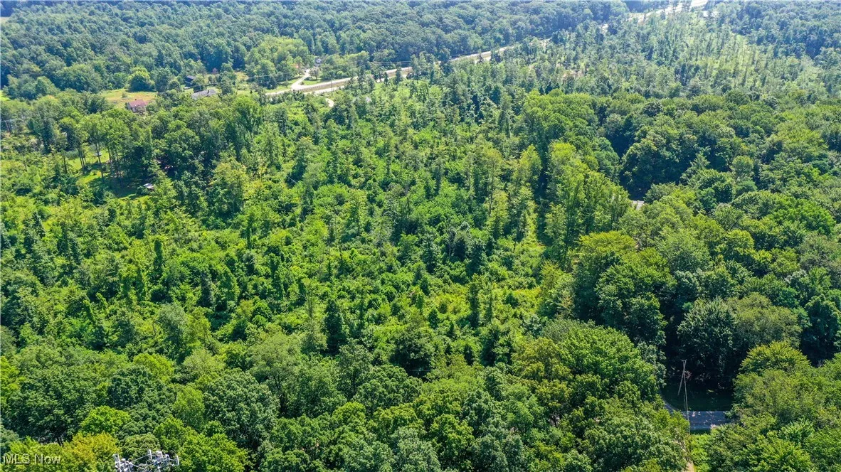 12392 V/L Fenstermaker Road, Garrettsville, Ohio,MLS Now Listing ID