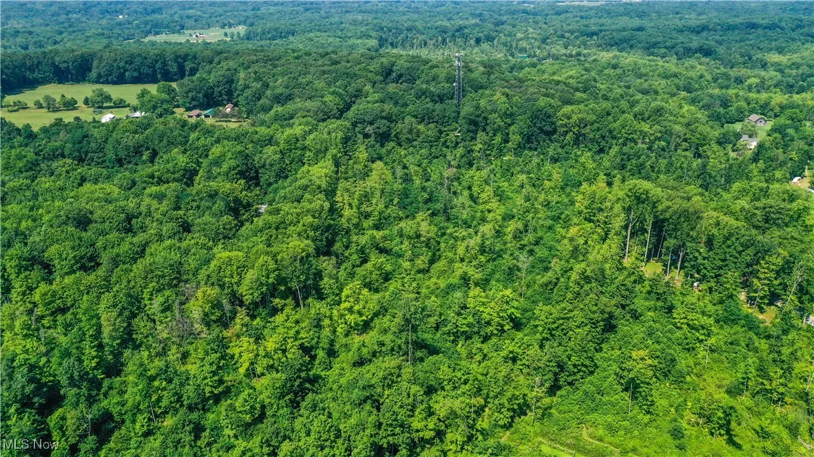 12392 V/L Fenstermaker Road, Garrettsville, Ohio,MLS Now Listing ID