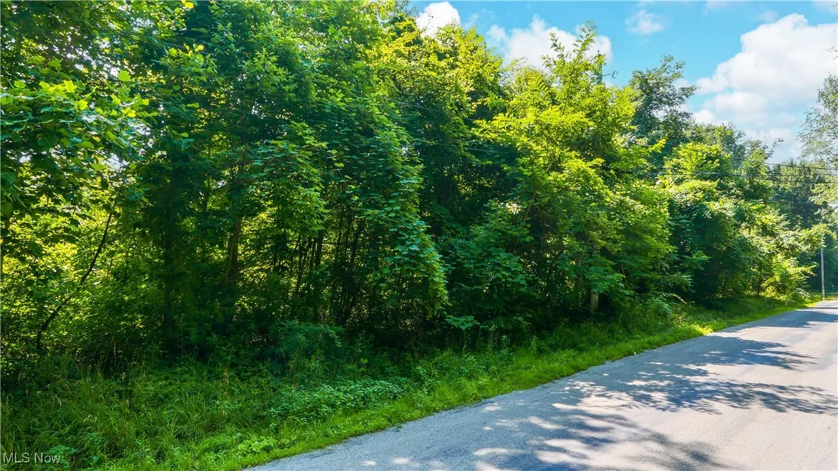 12392 V/L Fenstermaker Road, Garrettsville, Ohio,MLS Now Listing ID
