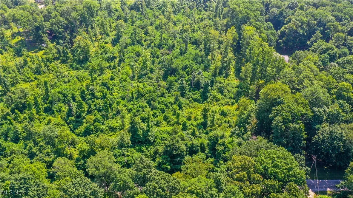 12392 V/L Fenstermaker Road, Garrettsville, Ohio,MLS Now Listing ID