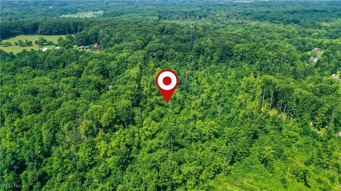 12392 V/L Fenstermaker Road, Garrettsville, Ohio,MLS Now Listing ID