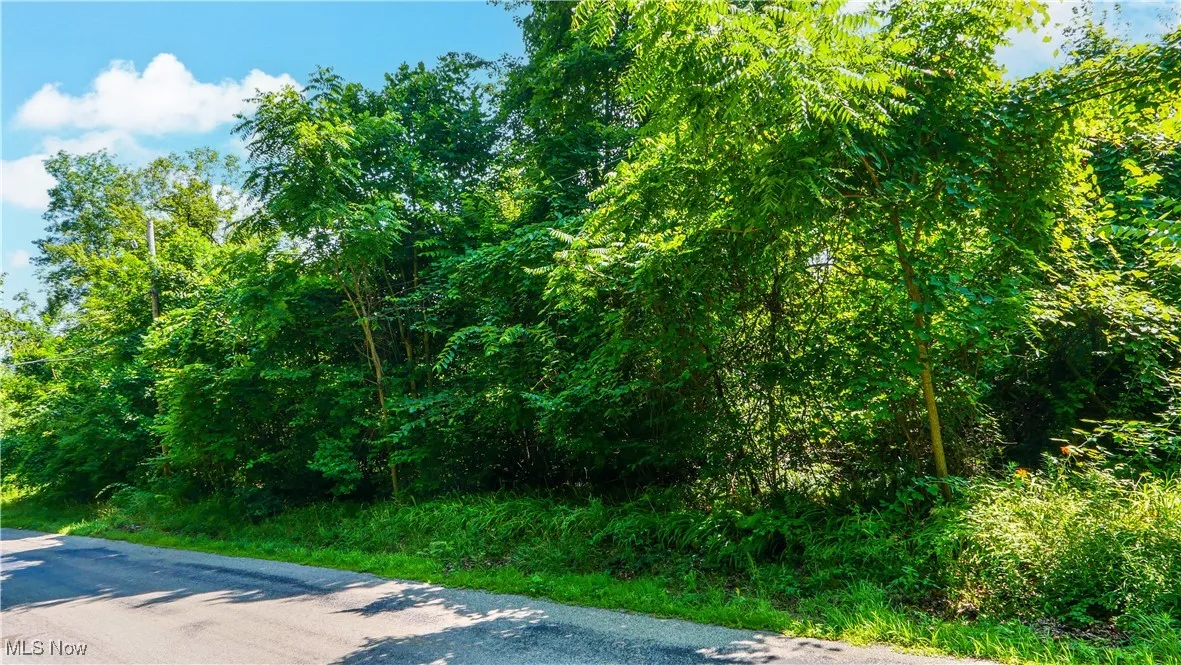 12392 V/L Fenstermaker Road, Garrettsville, Ohio,MLS Now Listing ID
