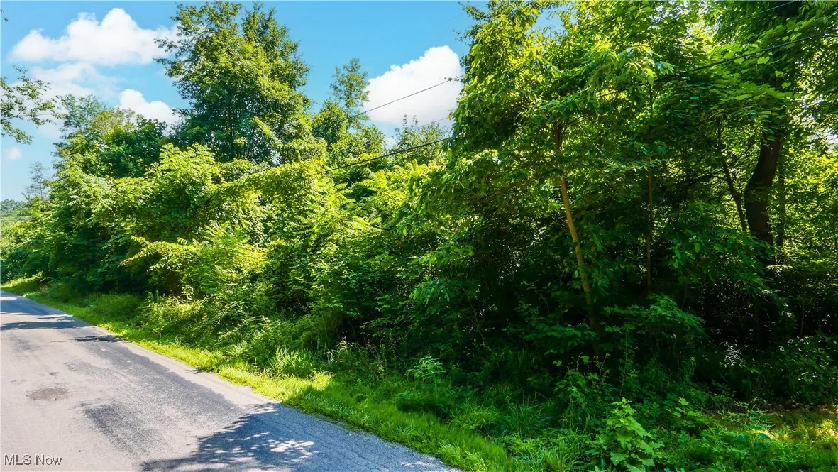 12392 V/L Fenstermaker Road, Garrettsville, Ohio,MLS Now Listing ID