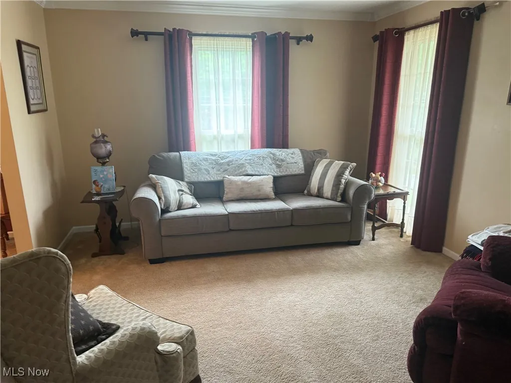 Carpeted living room featuring ornamental molding and plenty of natural light