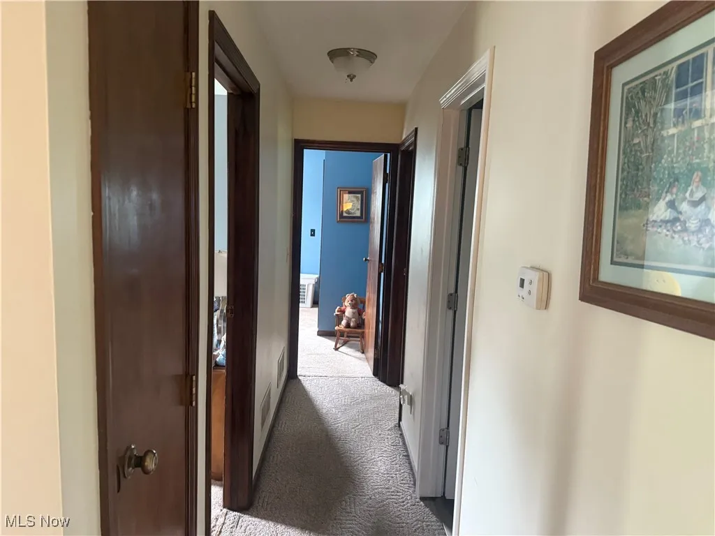Hallway with carpet