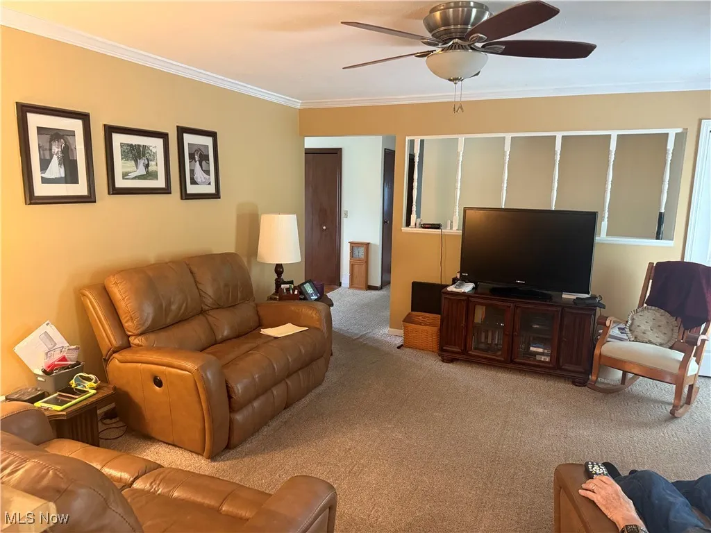 Carpeted living room featuring ceiling fan and ornamental molding