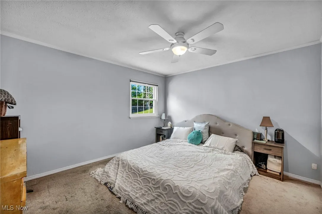 Carpeted bedroom featuring crown molding, ceiling fan, and a textured ceiling