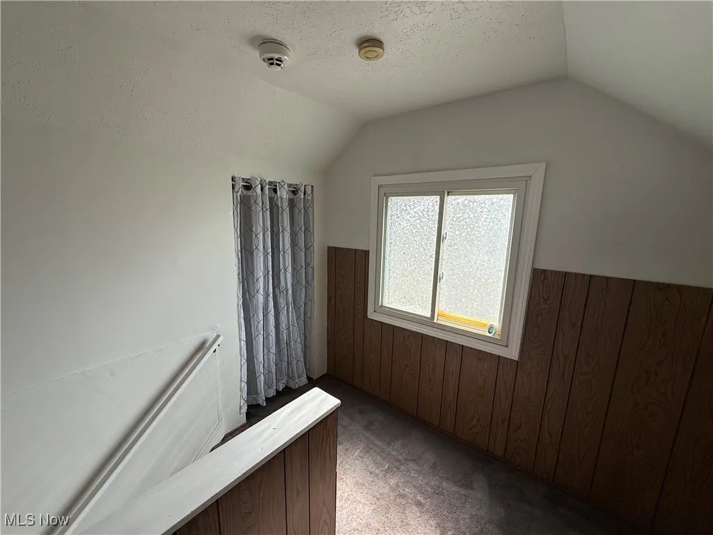 Bonus room featuring lofted ceiling, carpet flooring, a textured ceiling, and wainscoting