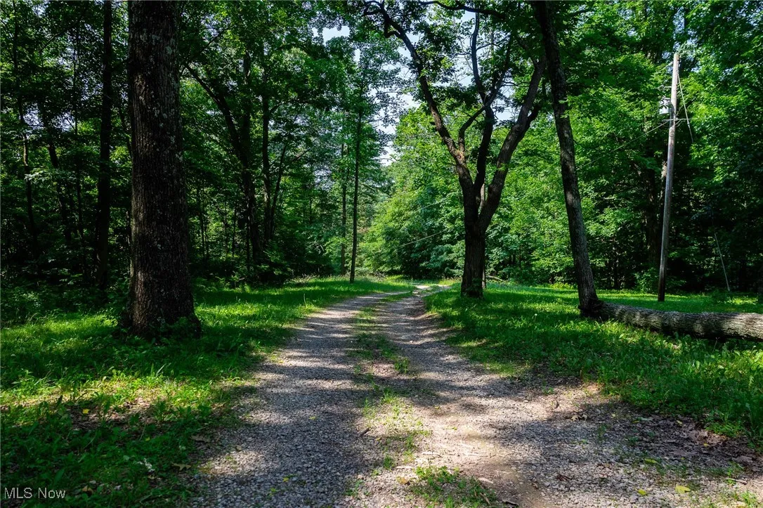View of dirt / gravel road with a forest view