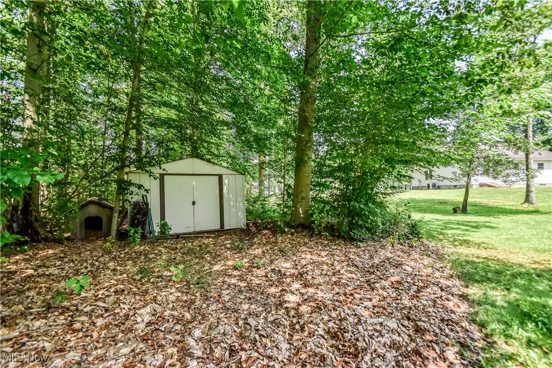 View of grassy yard with a shed