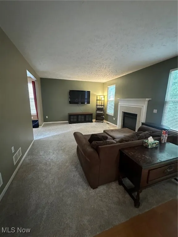 Living area with a fireplace