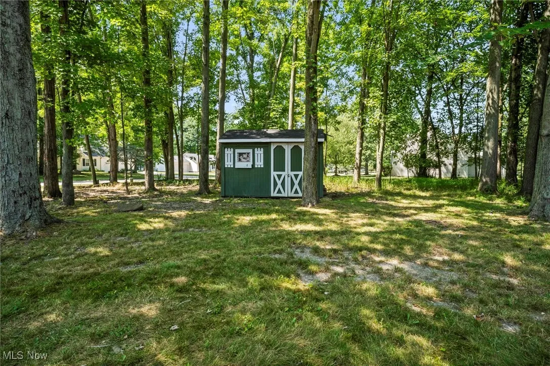 View of green lawn with a shed