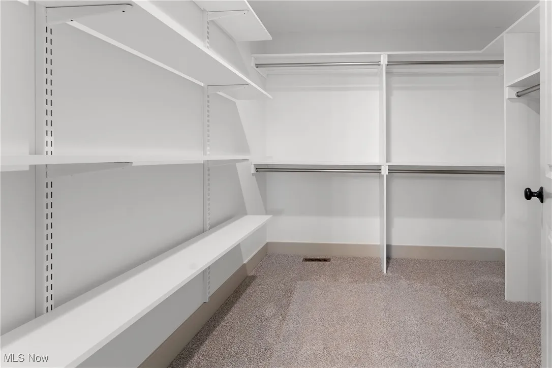 Walk in closet featuring light carpet