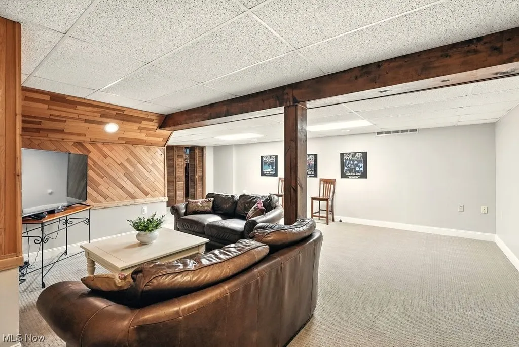 Rec Room with Eating Area and New Carpet