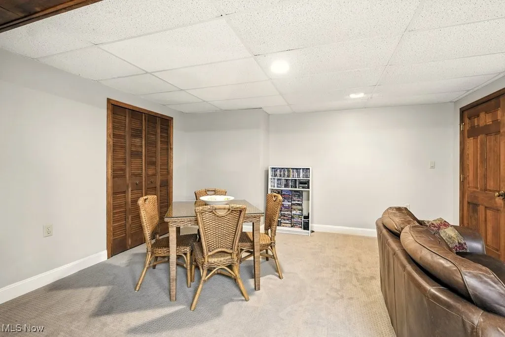 Rec Room with Eating Area and New Carpet