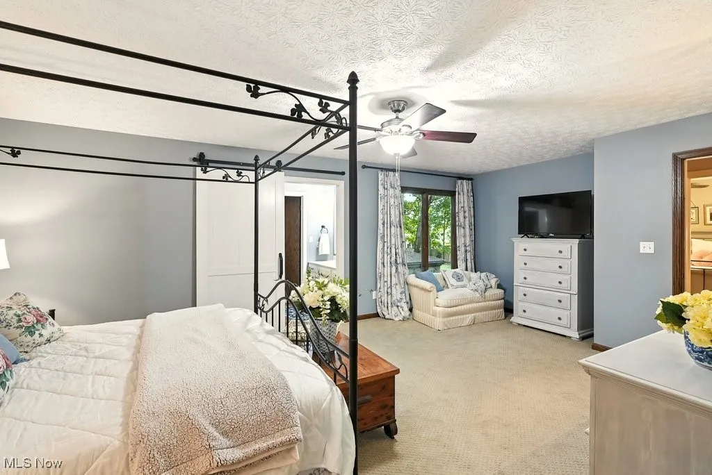 Master Bedroom with Barn Door and New Carpet