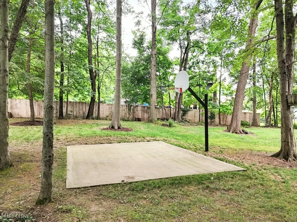 Basketball Court/Hoop