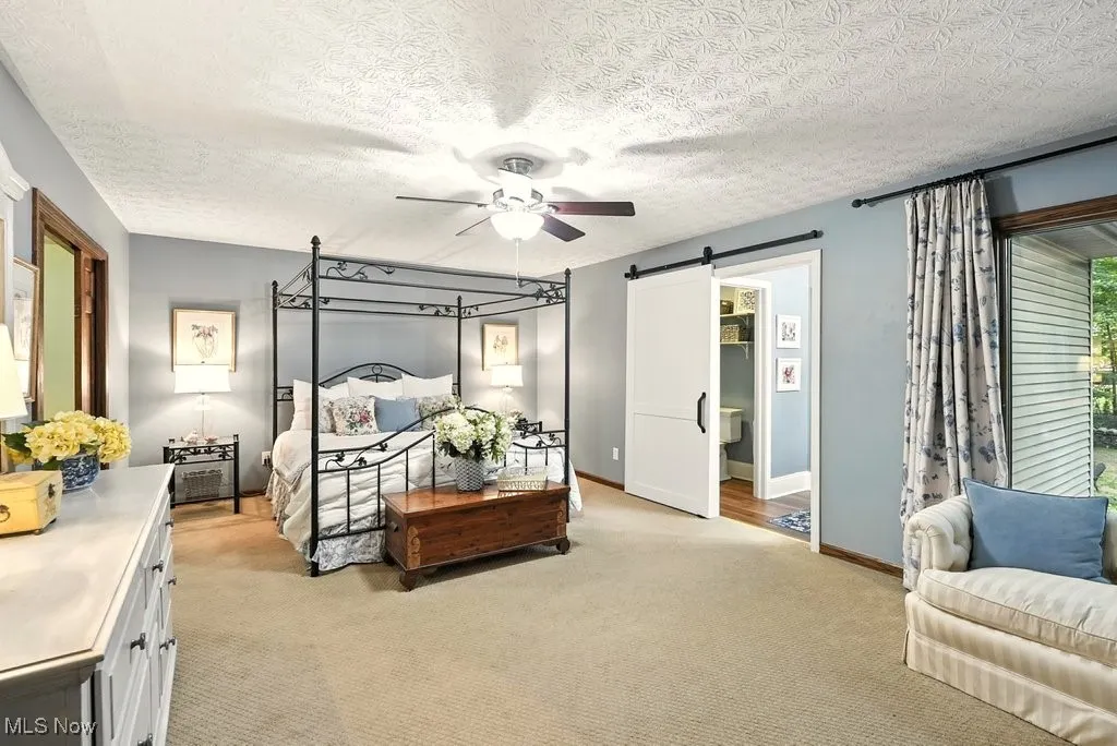 Master Bedroom with Barn Door and New Carpet