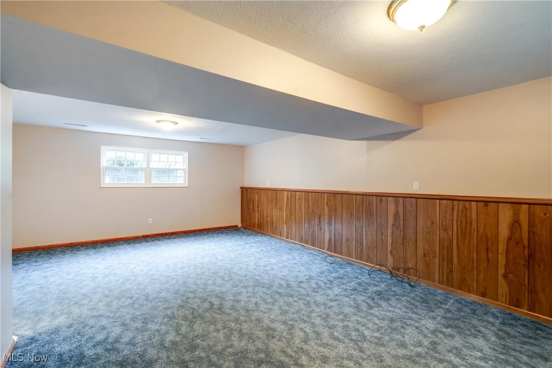 Below grade area featuring carpet floors, wood walls, and a textured ceiling