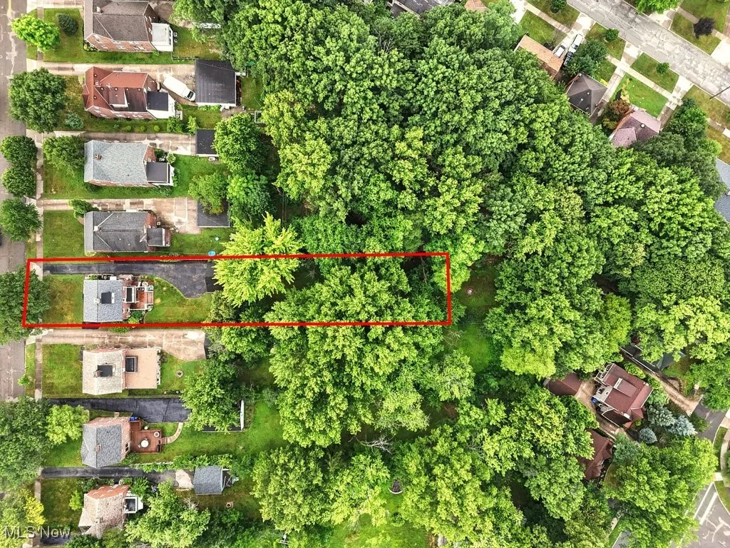 Just under 1/2 acre, beautifully treed lot