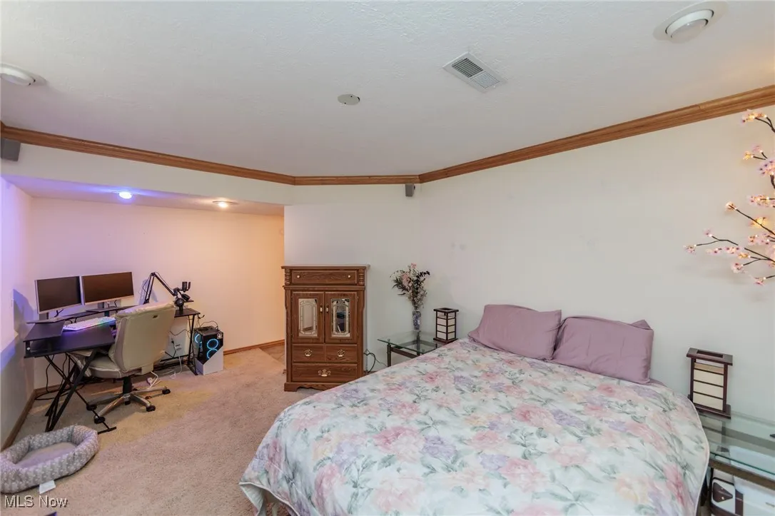 4632 W Britton Road, Burbank, Ohio,MLS Now Listing ID