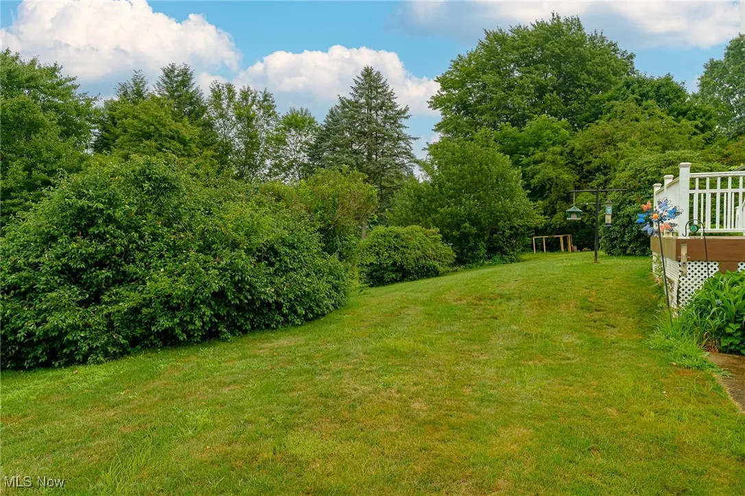 Nice size corner lot at Camelia and Lisa
