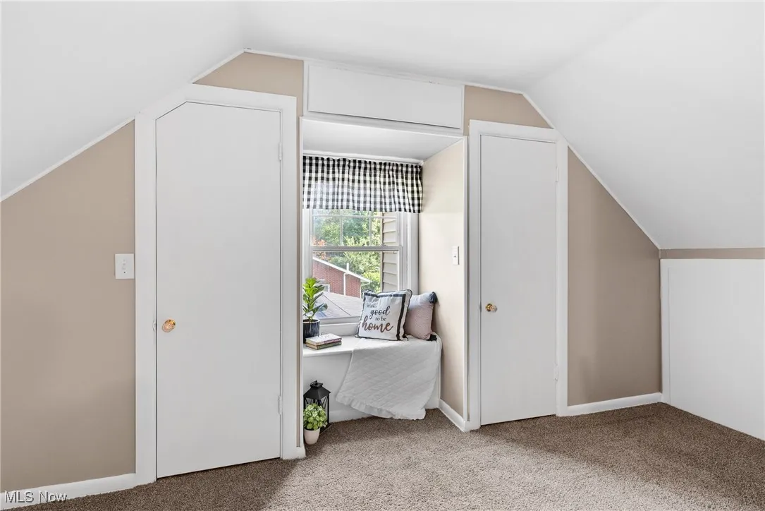 Bonus room featuring vaulted ceiling and carpet
