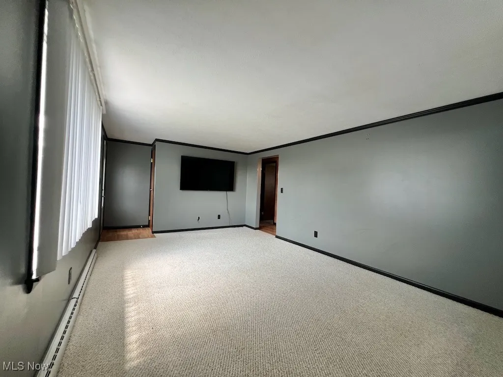 Spare room featuring light carpet, a baseboard radiator, and crown molding