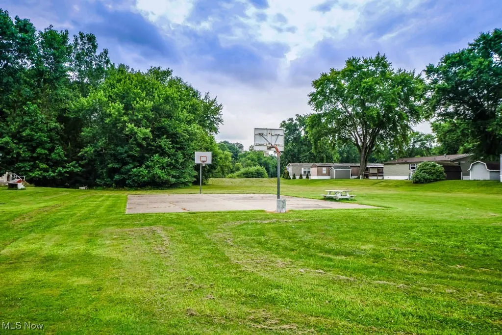 Basketball Court