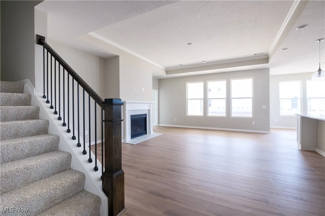 Open layout main living space, with tray ceiling and fireplace in great room.
