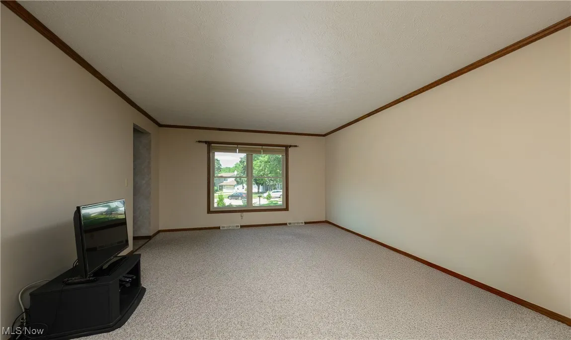 369 Tulip Trail, Wadsworth, Ohio,MLS Now Listing ID