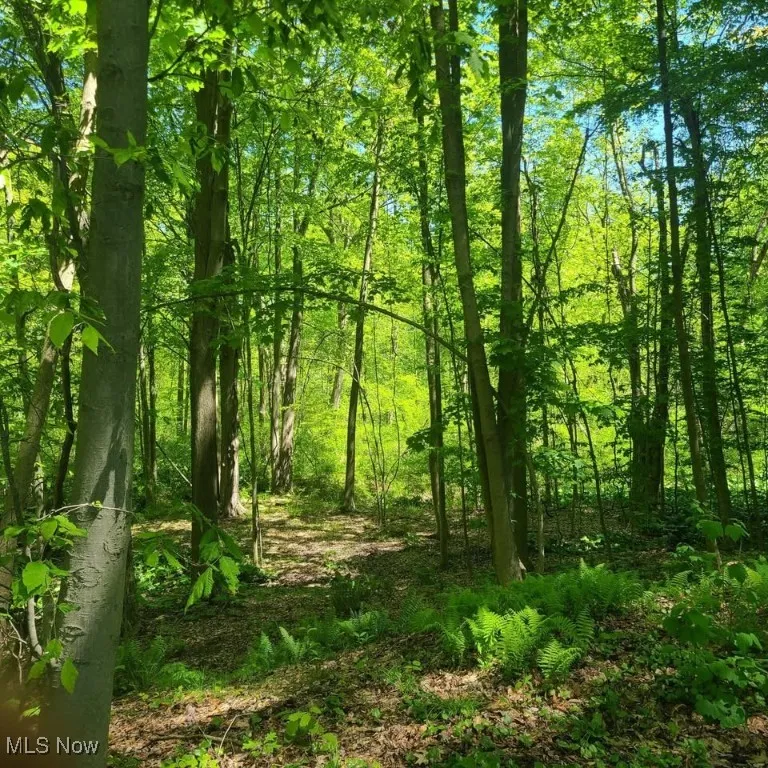 S/L 26 Old Mill Road, Madison, Ohio,MLS Now Listing ID