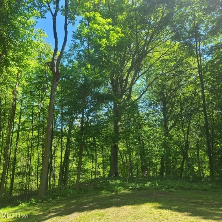 S/L 26 Old Mill Road, Madison, Ohio,MLS Now Listing ID
