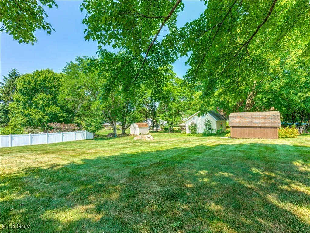 back yard and shed