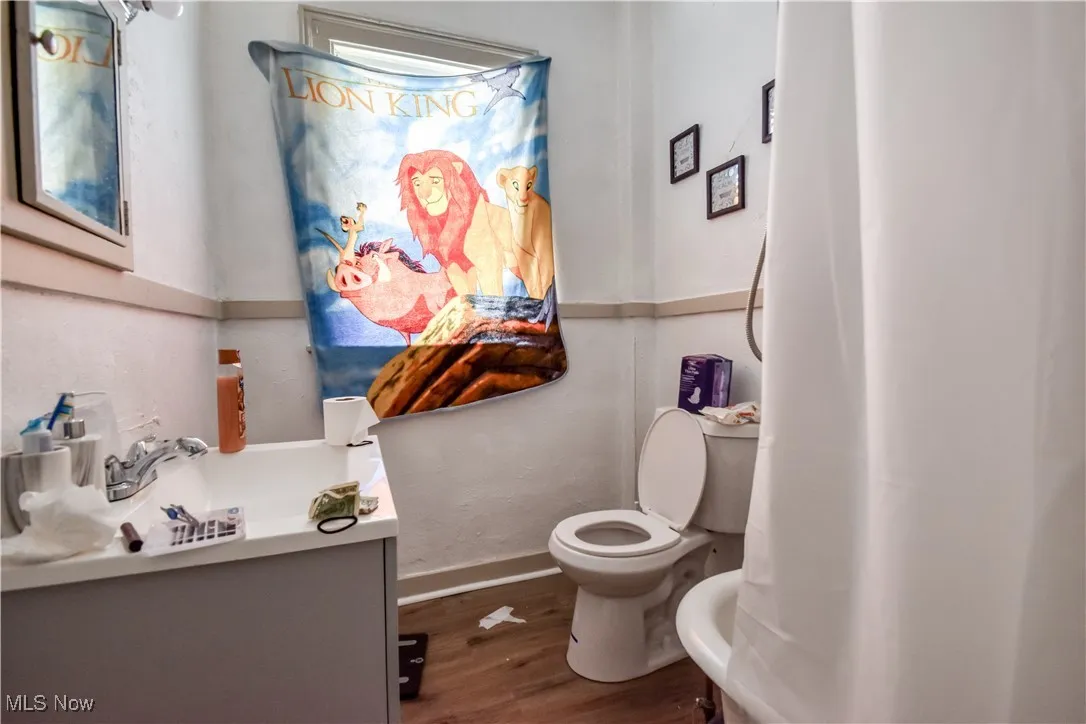 Bathroom featuring wood finished floors and vanity