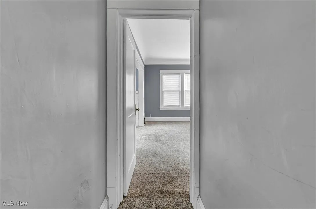 1290 Hall Avenue # UP, Lakewood, Ohio,MLS Now Listing ID