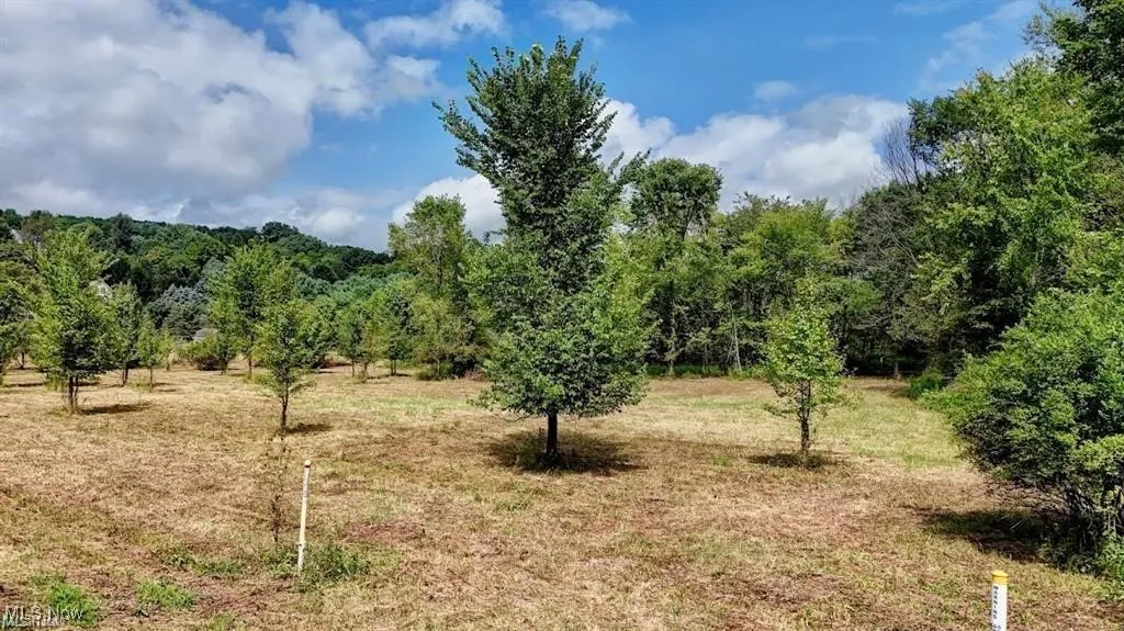 Swonger Road, Dover, Ohio,MLS Now Listing ID