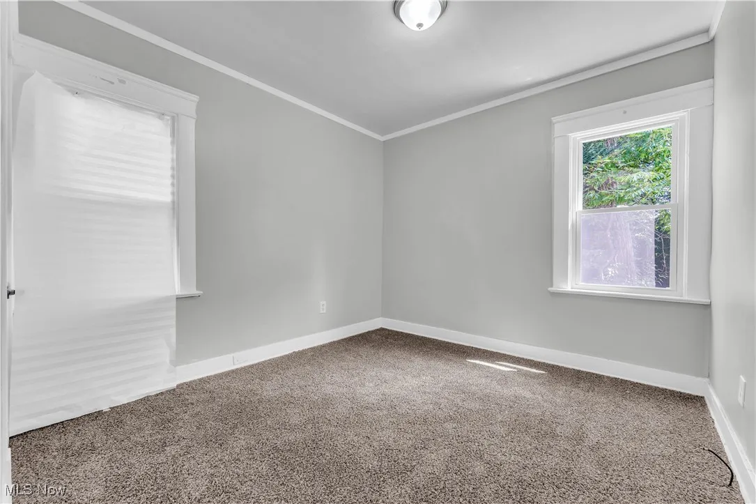 Spare room featuring ornamental molding and carpet