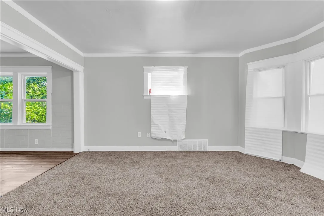Empty room with crown molding and carpet