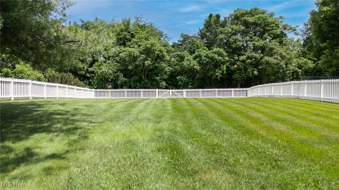View of fenced yard