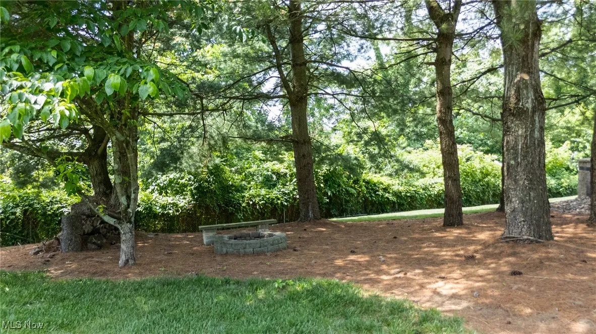 View of yard and fire pit