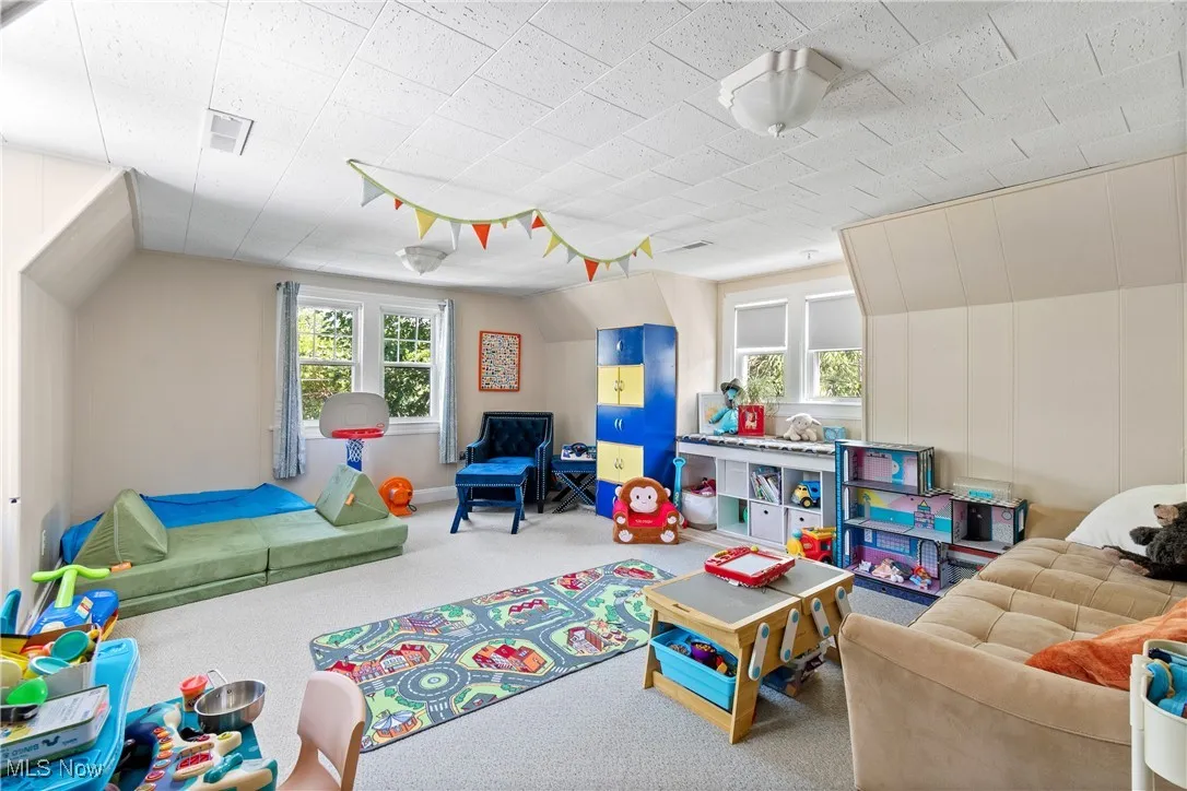 Recreation room featuring carpet and plenty of natural light