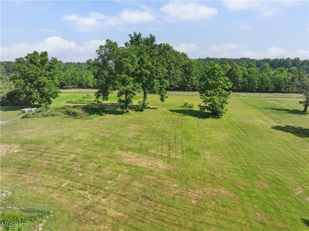 View of grassy yard