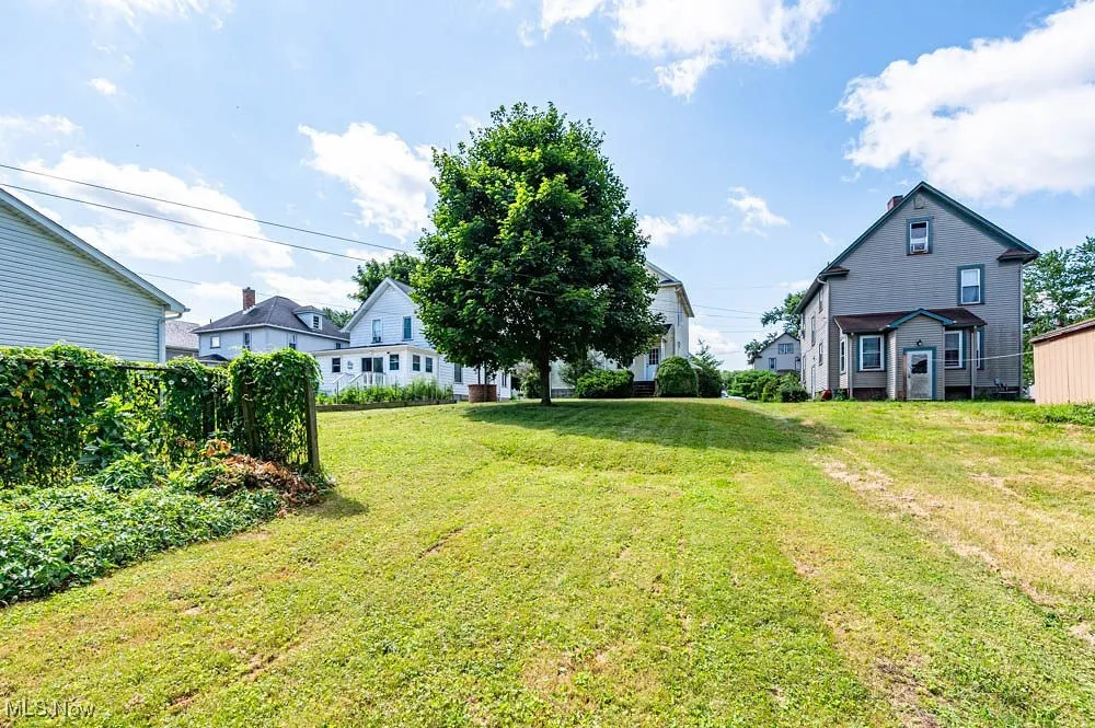 View of grassy yard