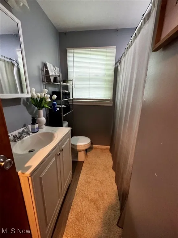 Full bathroom featuring vanity and a shower with shower curtain