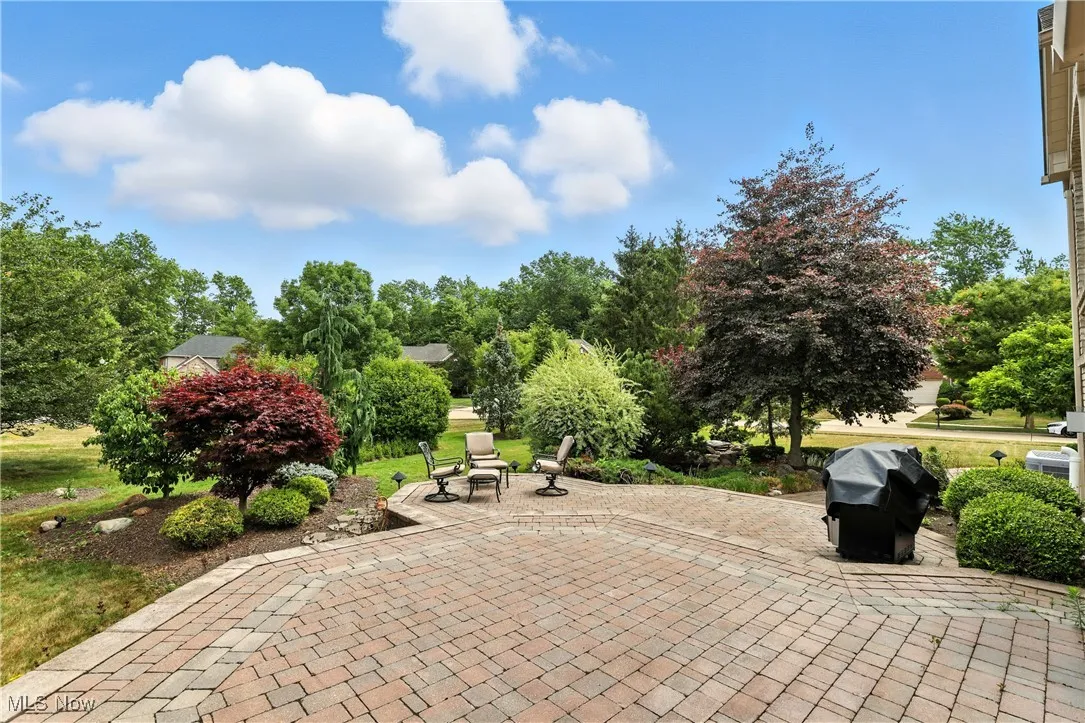 View of patio featuring area for grilling and view of scattered trees