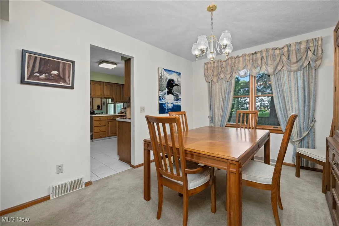 1009 Washington Drive, Grafton, Ohio,MLS Now Listing ID