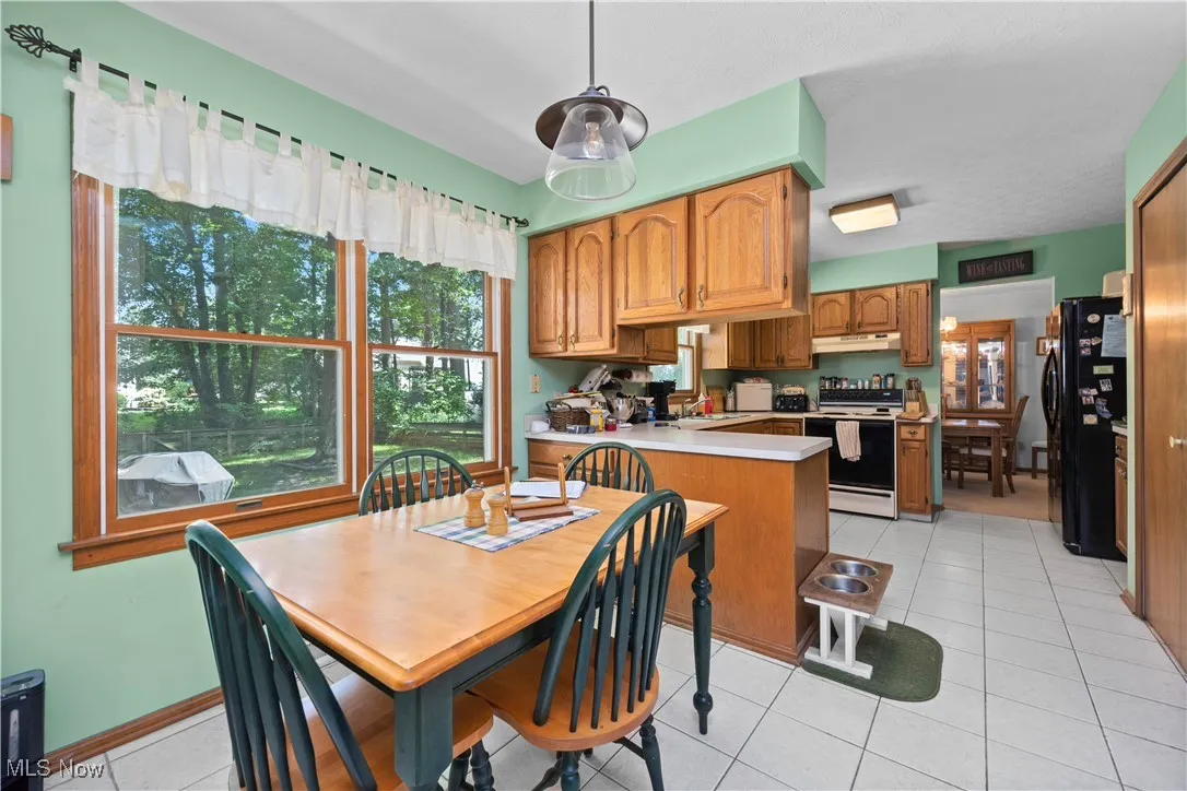 1009 Washington Drive, Grafton, Ohio,MLS Now Listing ID
